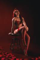 David AMADIEU - AMADIEU DAVID